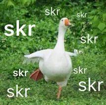 流行吃瓜,揭秘娱乐圈那些鲜为人知的幕后故事