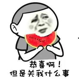 b站吃瓜群众表情,笑中带泪的围观日常