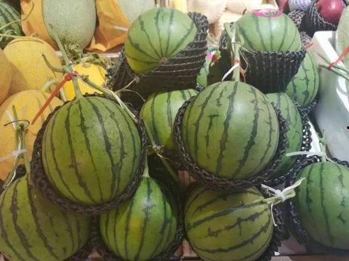 小摇的吃瓜,揭秘娱乐圈那些不为人知的幕后故事