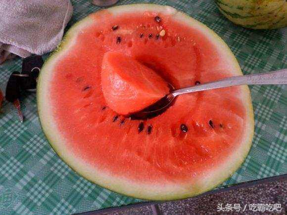 在线吃瓜本人,揭秘虚拟世界中的“瓜田”生活