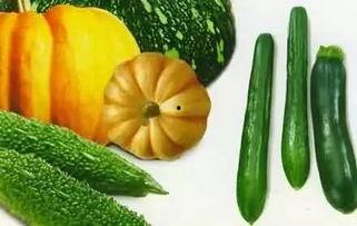 掌嘴吃瓜,揭秘娱乐圈背后的惊人真相