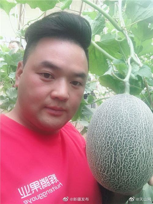 最近的吃瓜直播,揭秘近期热门吃瓜事件幕后真相