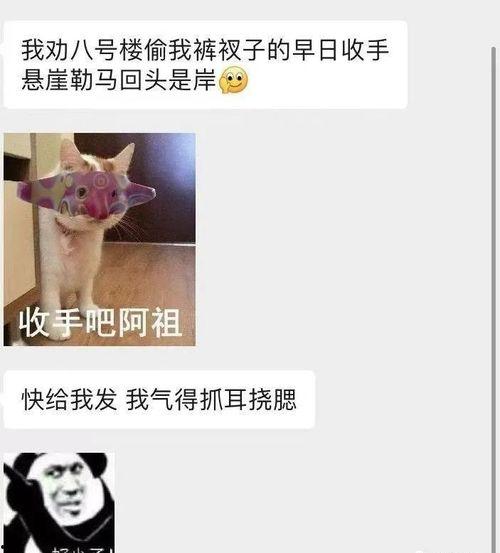 表白墙吃瓜投稿吃牛牛,表白墙吃瓜投稿背后的校园风云