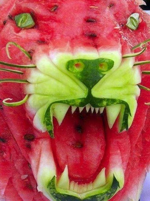 带你吃瓜玫瑰少年,带你探寻青春的甜蜜与苦涩