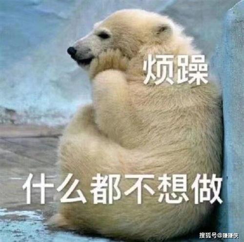 吃瓜群众可爱图片,吃瓜群众可爱瞬间大盘点