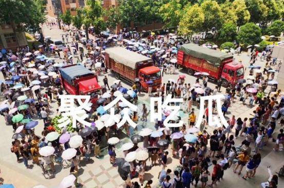 学生集体吃瓜,学生集体吃瓜的欢乐时光