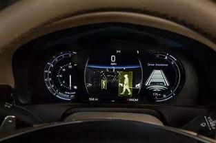 吃瓜开车群,揭秘网络社交圈的趣味与争议