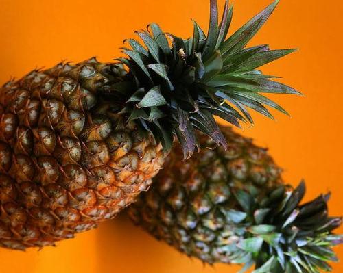 菠萝树下吃瓜,夏日休闲时光