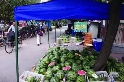 南京小区吃瓜事件,邻里纷争背后的社区现象剖析