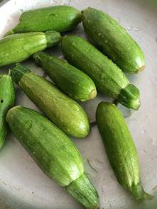 可以吃的小瓜,探索美味与健康的完美结合