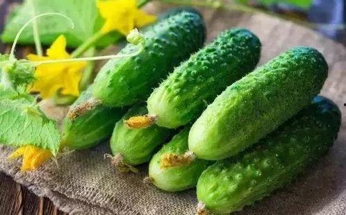 春吃芽夏吃瓜3种,四季养生之道