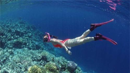 出海不潜水 吃瓜群众,吃瓜群众见证海上风云