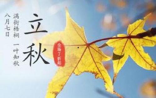 立秋吃瓜拍照,瓜果飘香，定格美好瞬间