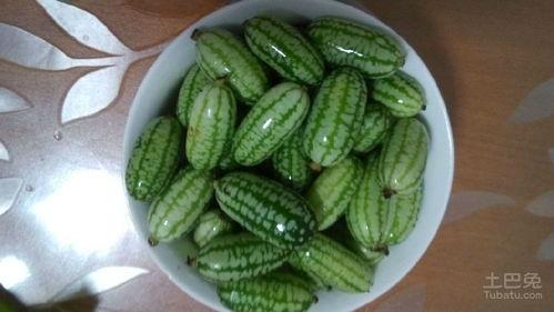 蓝牙吃瓜人物介绍,揭秘蓝牙吃瓜人物的传奇故事