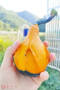 官方认证吃瓜 第2张 官方认证吃瓜 第2张