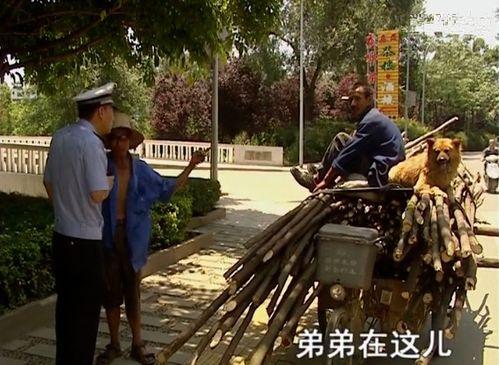 谭大爷吃瓜,一场别开生面的吃瓜盛宴 第3张 谭大爷吃瓜,一场别开生面的吃瓜盛宴 第3张