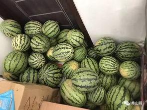 吃瓜群250018 第2张 吃瓜群250018 第2张