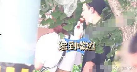 吃瓜偶像,揭秘吃瓜偶像背后的故事 第2张 吃瓜偶像,揭秘吃瓜偶像背后的故事 第2张