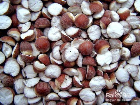 吃籽瓜胃疼,揭秘籽瓜与胃部健康的微妙关系 第2张 吃籽瓜胃疼,揭秘籽瓜与胃部健康的微妙关系 第2张