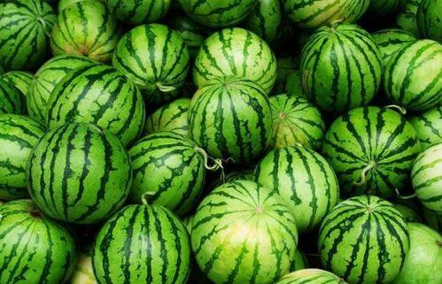 吃瓜的sier  第2张