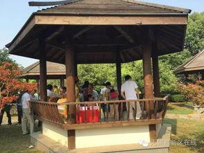 吃瓜群凉亭视频大全,揭秘网络热点的幕后故事  第2张