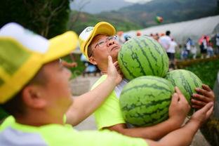 吃瓜现场一线吃瓜,揭秘娱乐圈幕后风云  第3张