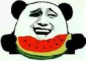 还敢吃瓜吗,还敢吃瓜吗？