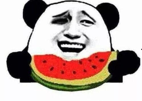 炮哥吃瓜平台  第1张