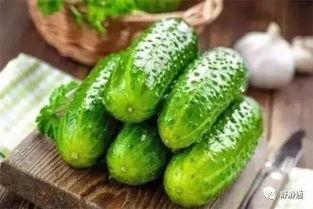 瓜吃瓜吃什么歌,揭秘“瓜吃什么歌”背后的音乐魅力  第2张