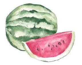 吃瓜肚子涨 第2张 吃瓜肚子涨 第2张