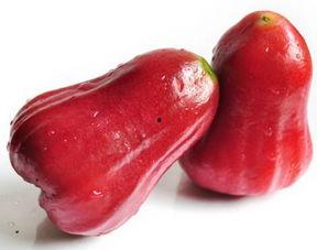 莲雾app吃瓜,吃瓜群众的云端聚集地  第2张