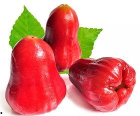 莲雾app吃瓜,吃瓜群众的云端聚集地  第3张